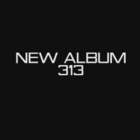 دانلود آلبوم جدید پوریا پوتک به نام 313