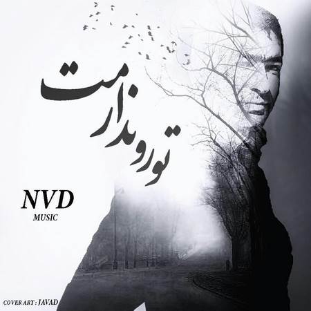 دانلود آهنگ جدید nvd به نام تو رو ندارمت